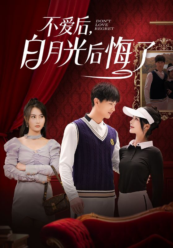 不爱后，白月光后悔了（不爱后白月光后悔了）海报
