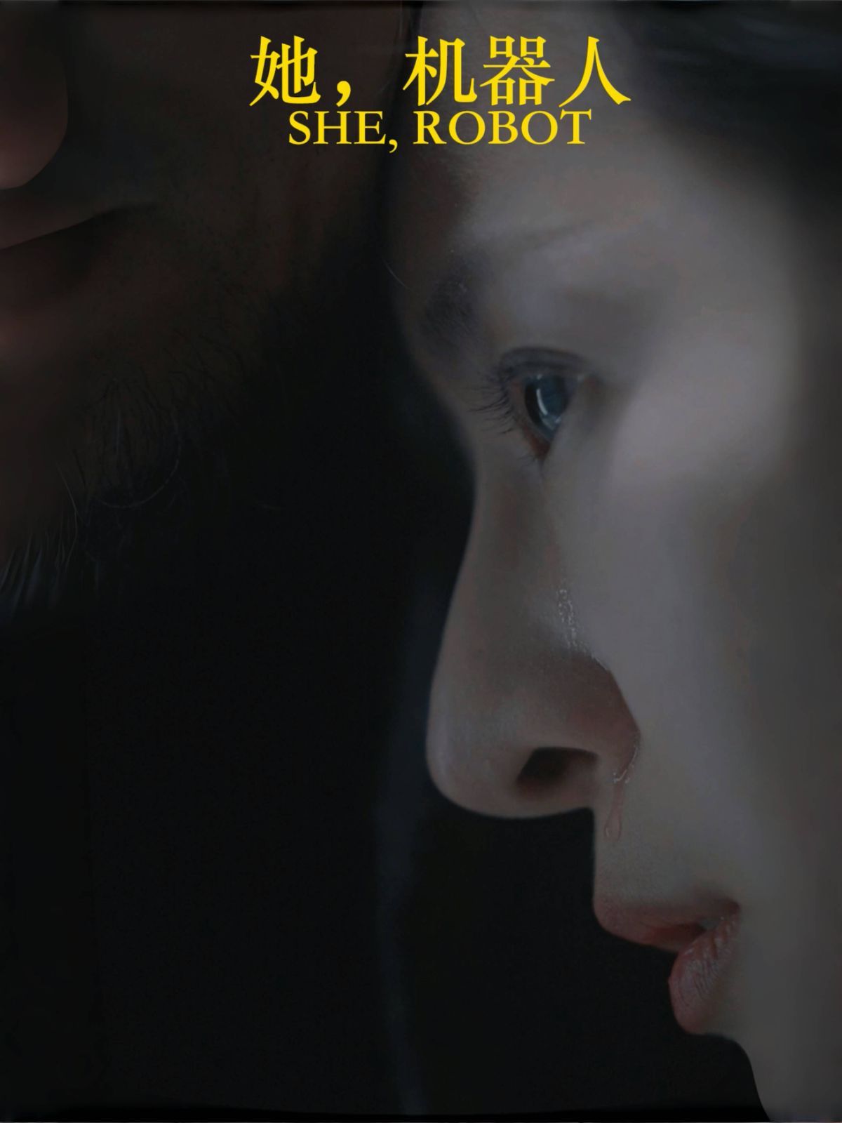 她，机器人（她机器人）海报